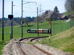 IMG_1846